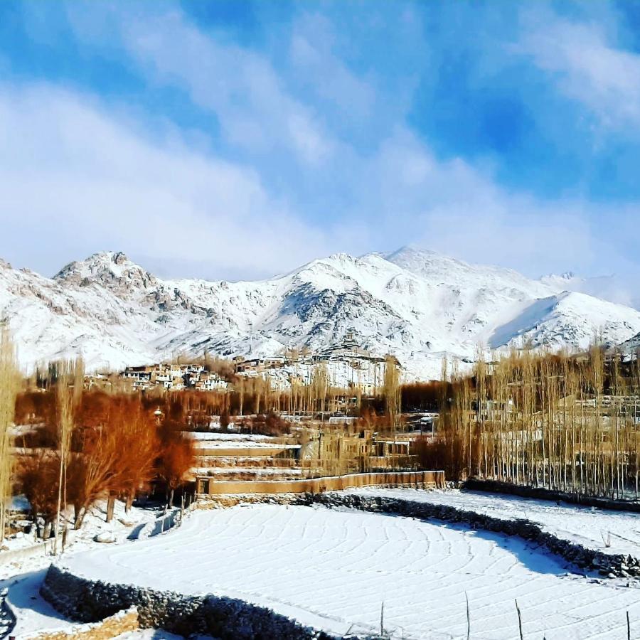 Ladakh Country Inn Leh Esterno foto